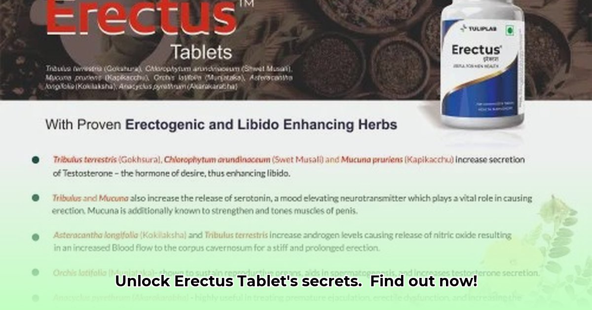 erectus-tablet